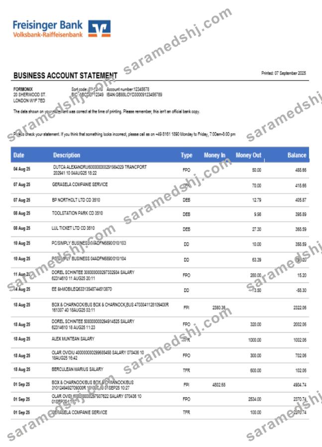 Freisinger Bank account business statement Word and PDF format